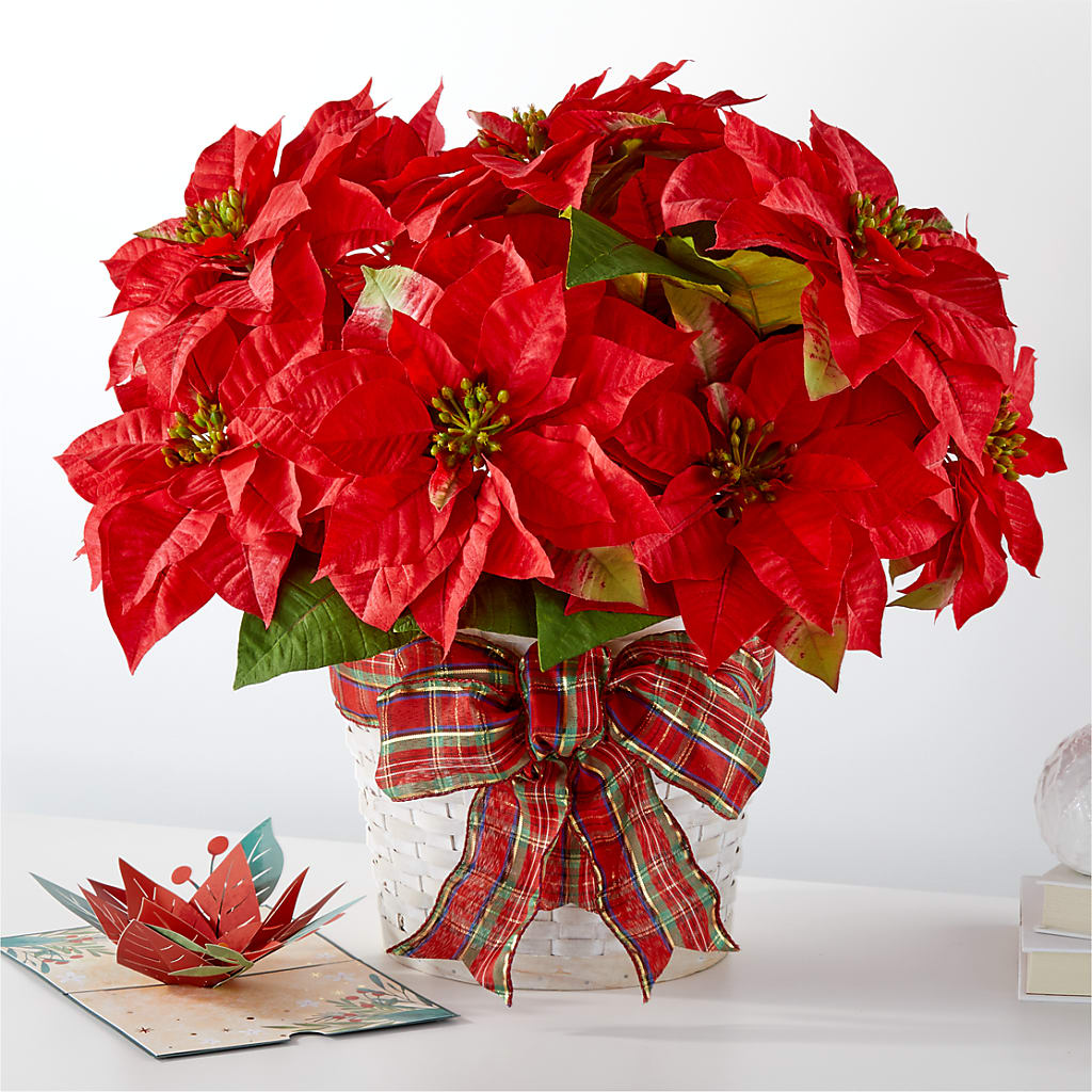 Happiest Holidays Poinsettia and Lovepop Card – Coach House Floral Inc, Canal Fulton OH