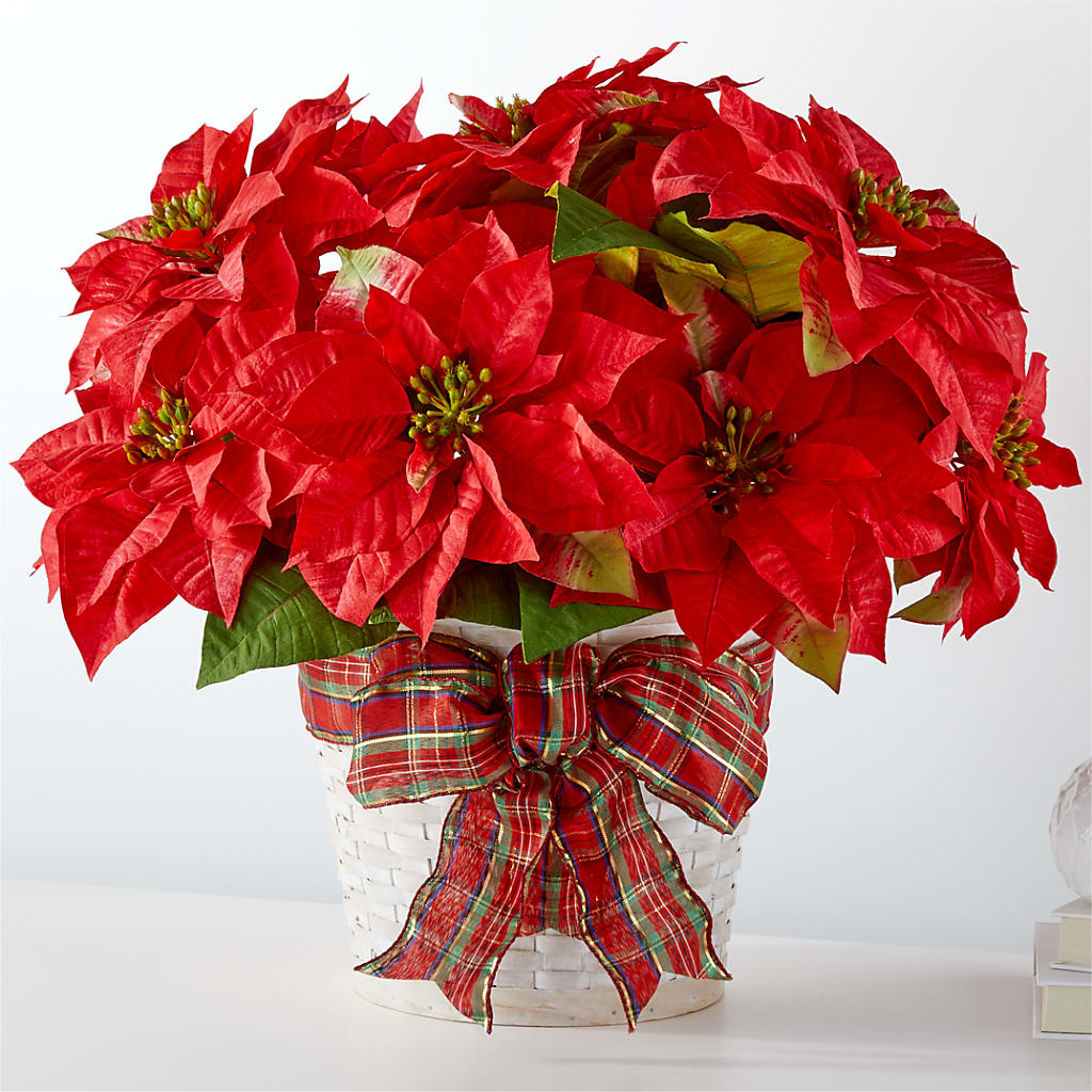 Happiest Holidays Poinsettia – Coach House Floral Inc, Canal Fulton OH