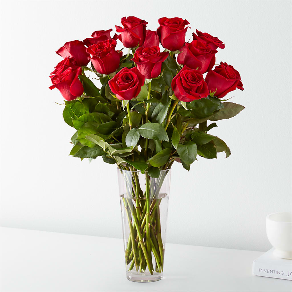 Long Stem Red Rose Bouquet – Coach House Floral Inc, Canal Fulton OH