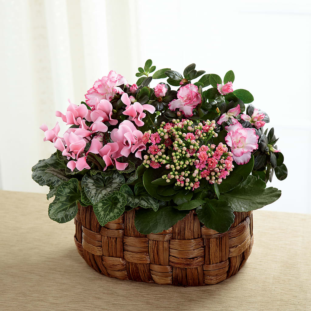 Pink Assortment – Coach House Floral Inc, Canal Fulton OH