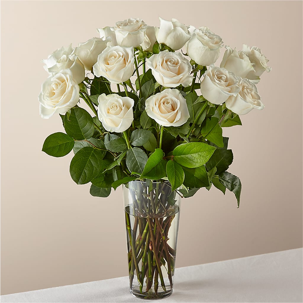 Long Stem White Rose Bouquet – Coach House Floral Inc, Canal Fulton OH