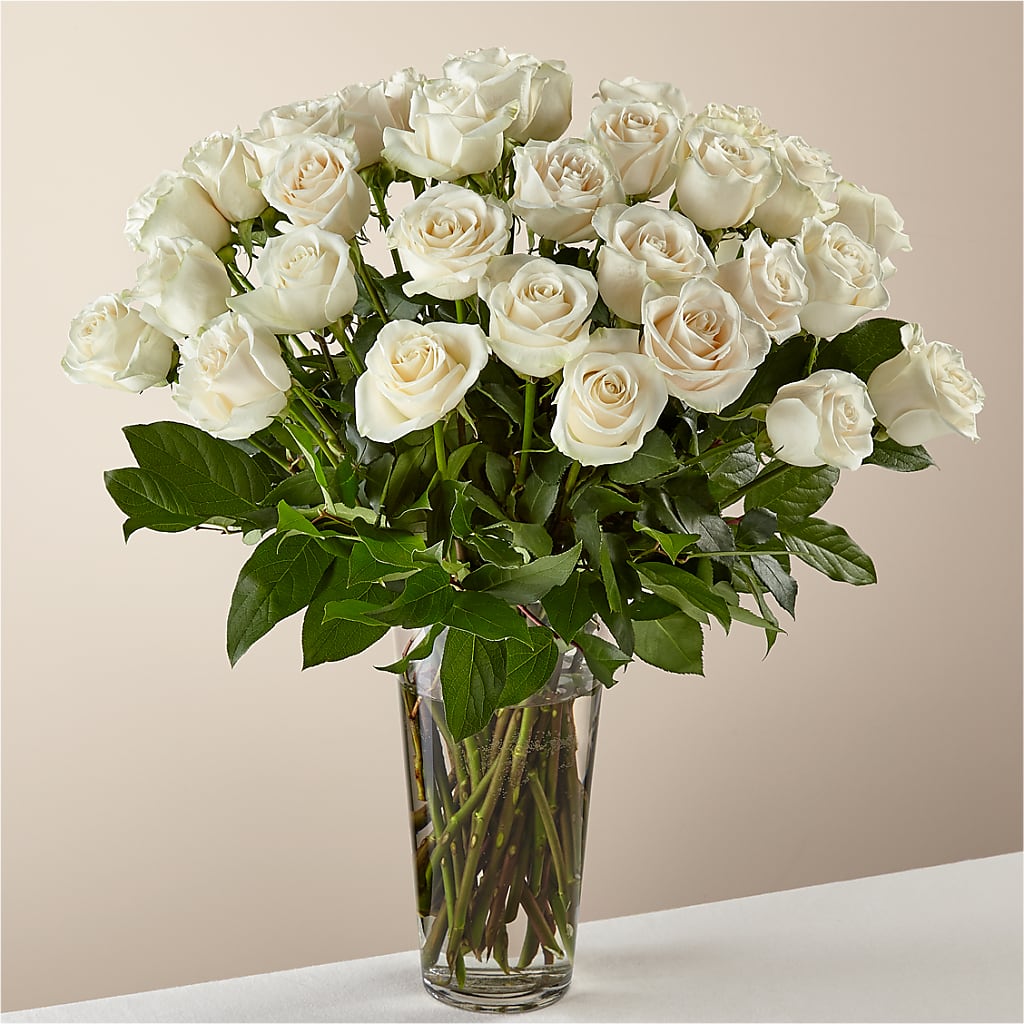 Long Stem White Rose Bouquet – Coach House Floral Inc, Canal Fulton OH
