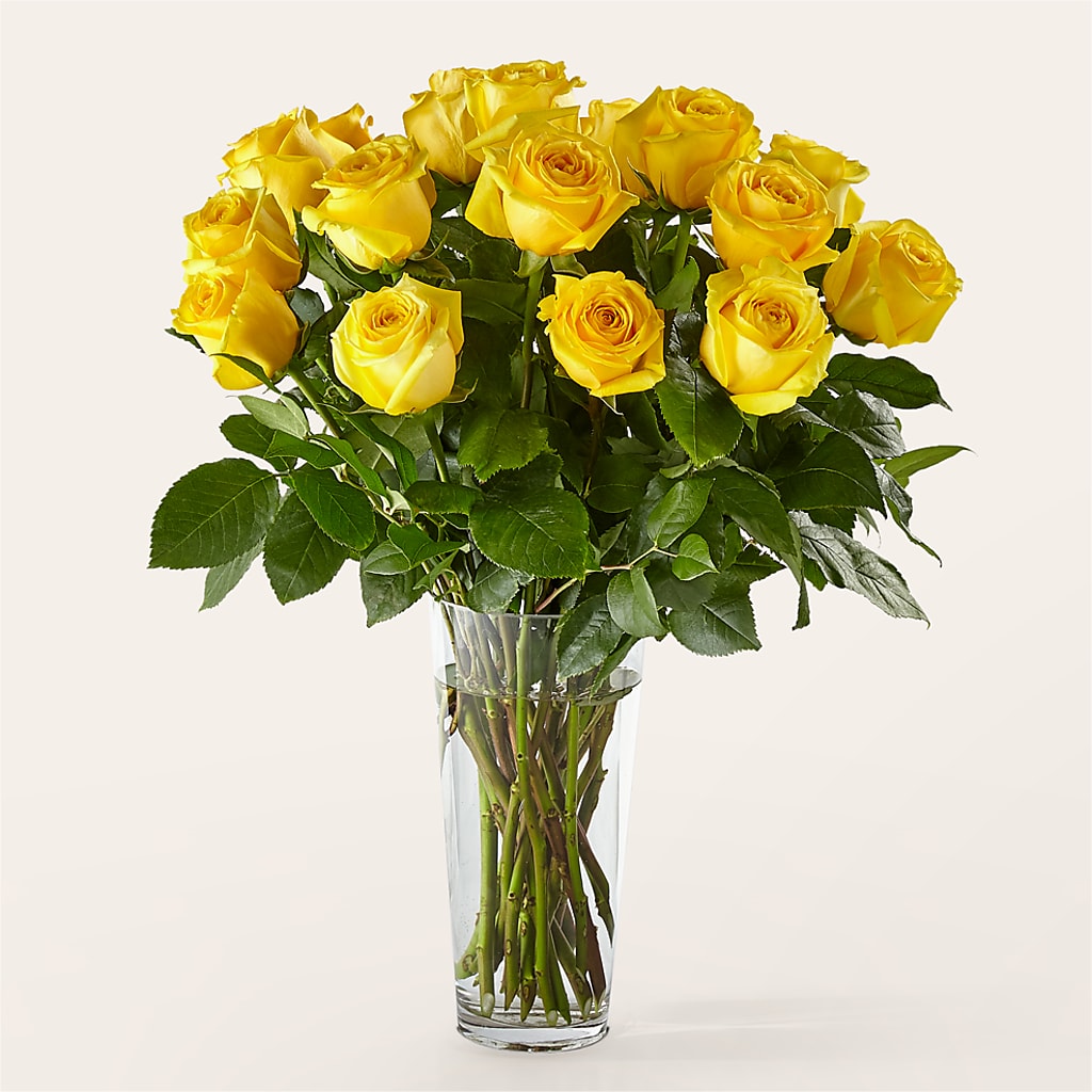 Long Stem Yellow Rose Bouquet – Coach House Floral Inc, Canal Fulton OH