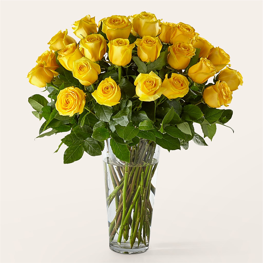 Long Stem Yellow Rose Bouquet – Coach House Floral Inc, Canal Fulton OH