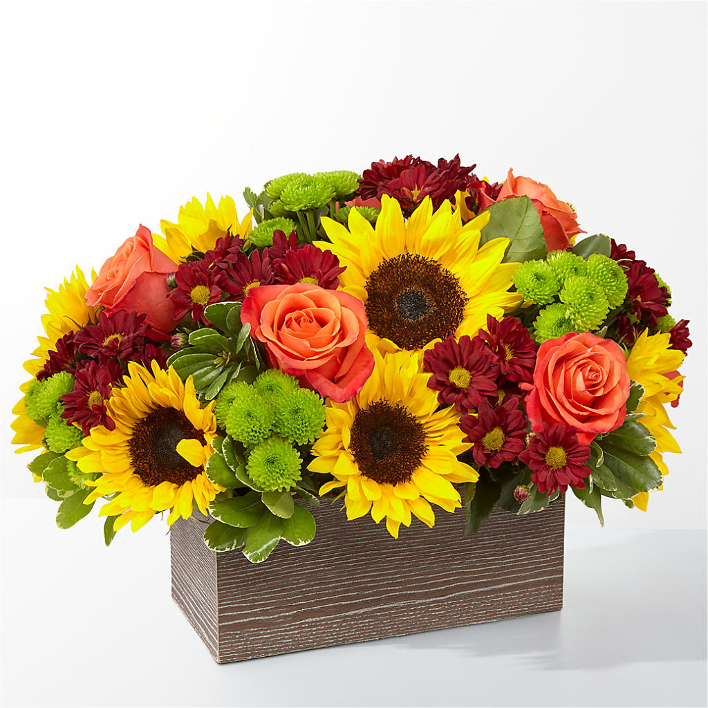 Happy Harvest Garden – Coach House Floral Inc, Canal Fulton OH