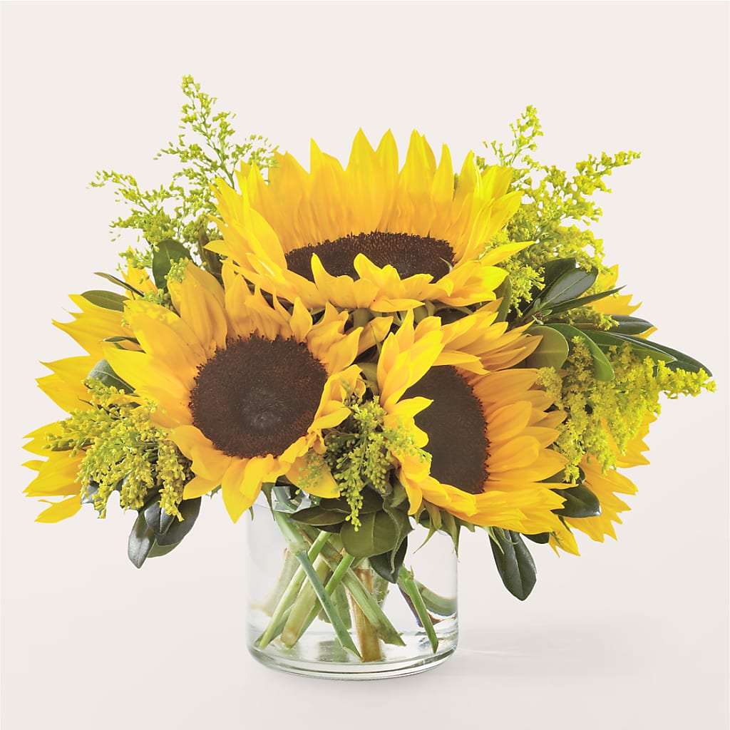 Beaming Sunflower Bouquet – Coach House Floral Inc, Canal Fulton OH