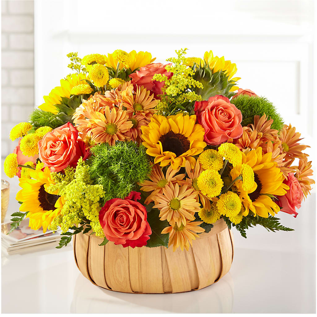 Harvest Sunflower Basket – Coach House Floral Inc, Canal Fulton OH