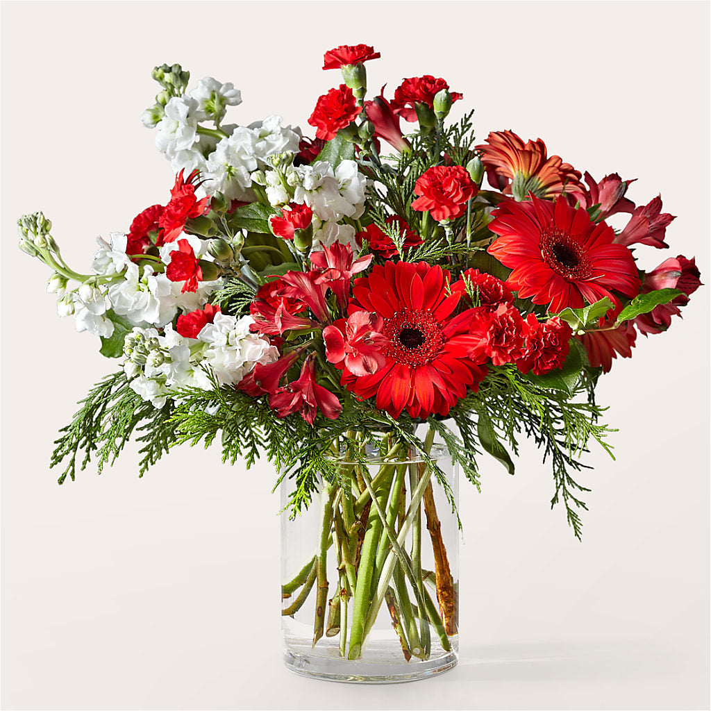 Holidaisy Bouquet – Coach House Floral Inc, Canal Fulton OH