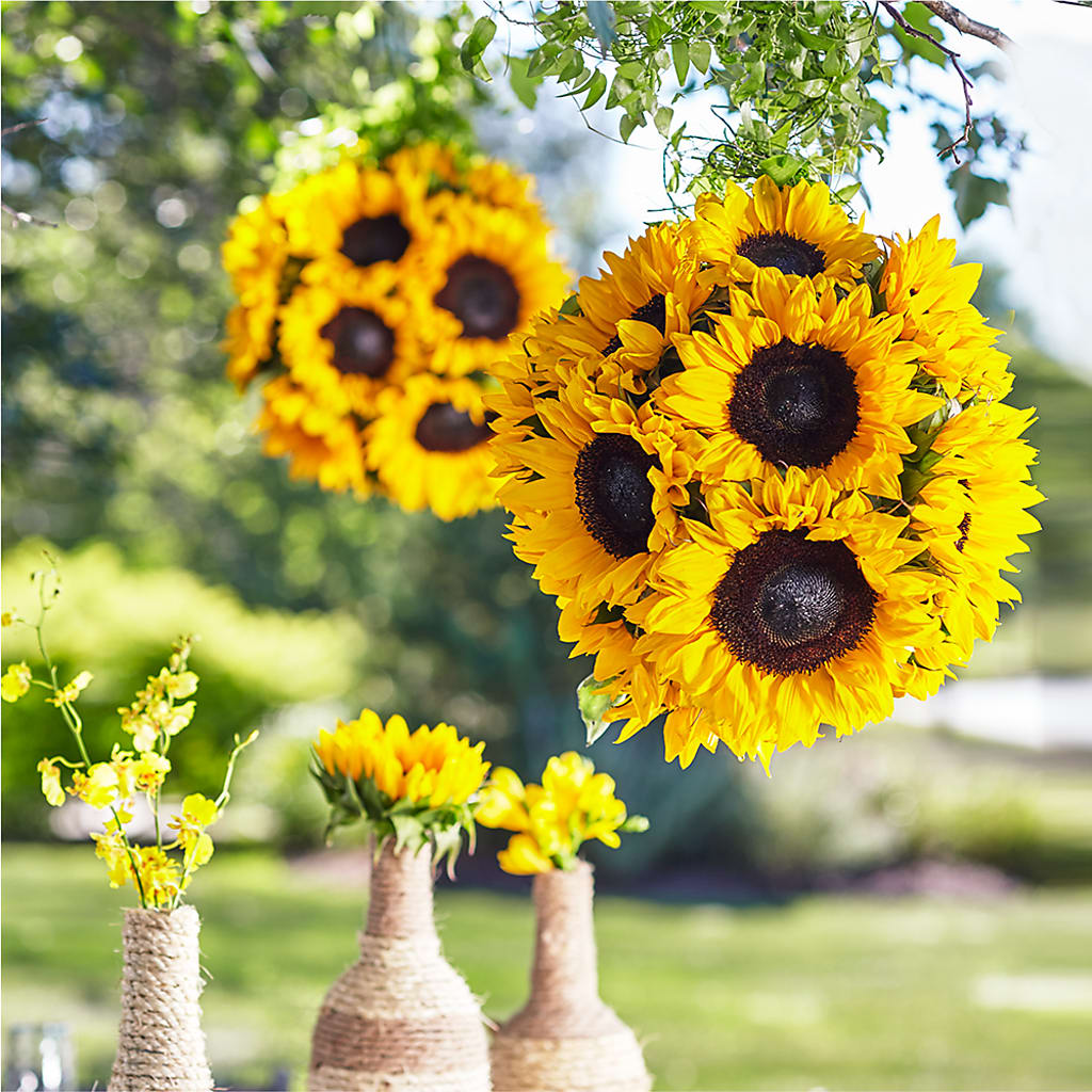Sublime Garden Hanging Arrangement – Coach House Floral Inc, Canal Fulton OH