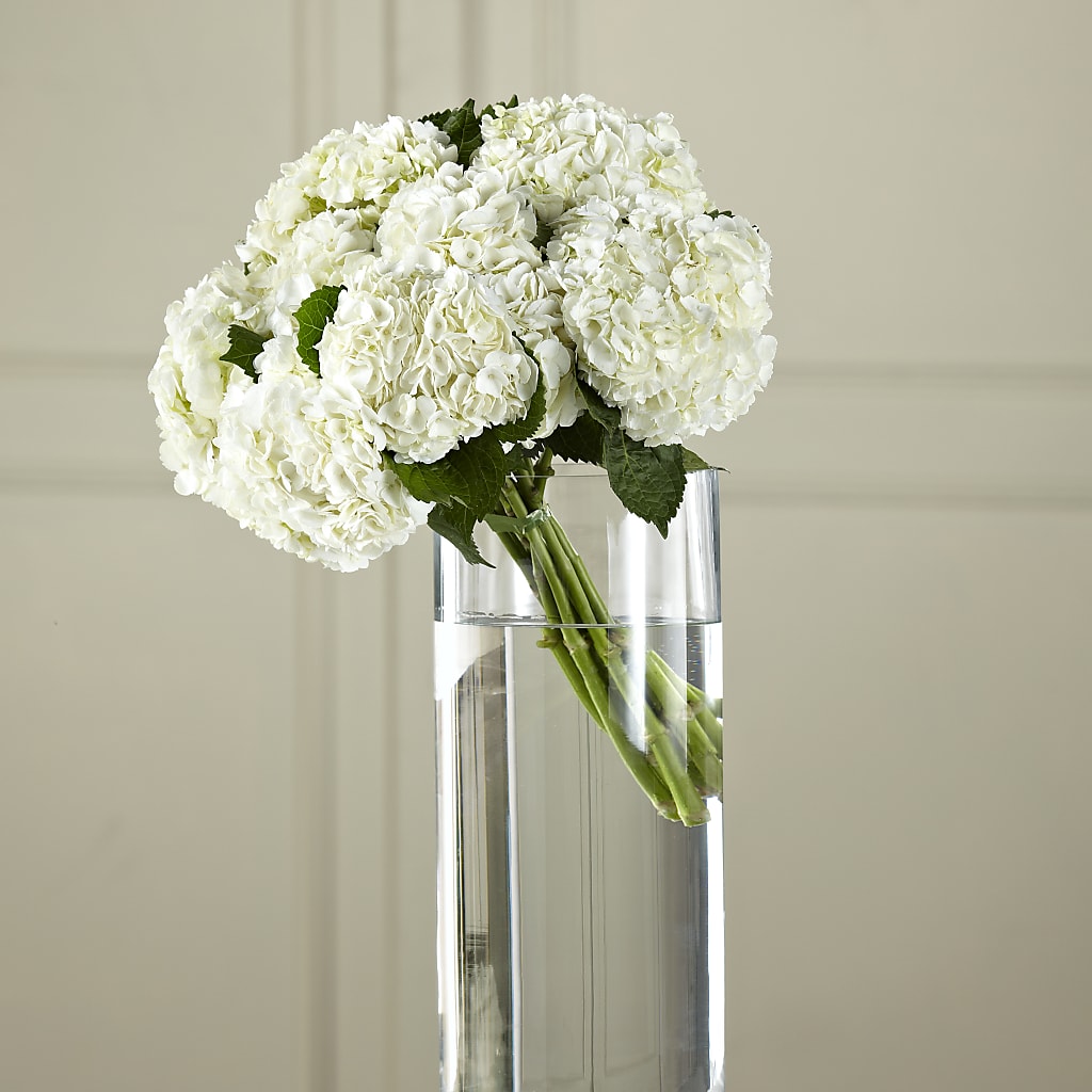 White Hydrangea Hand-Tied Bouquet – Coach House Floral Inc, Canal Fulton OH