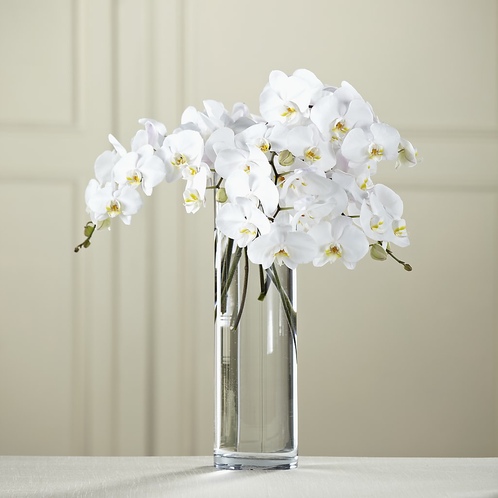 White Phalaenopsis Bouquet – Coach House Floral Inc, Canal Fulton OH