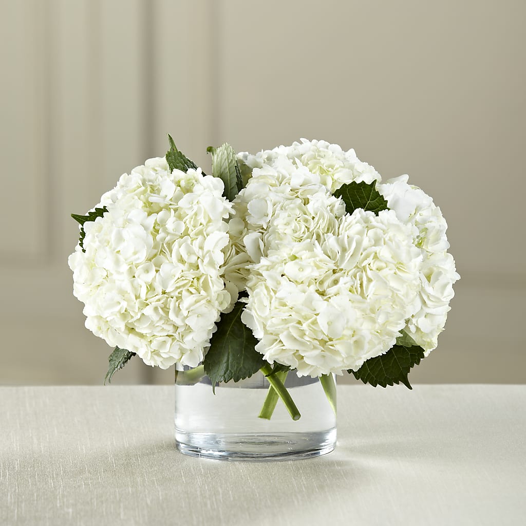 White Hydrangea Bouquet – Coach House Floral Inc, Canal Fulton OH
