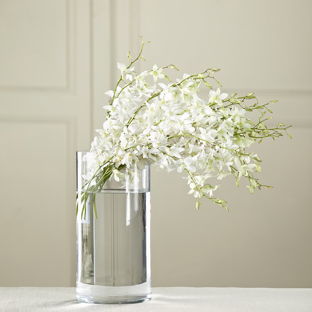 White Dendrobium Bouquet – Coach House Floral Inc, Canal Fulton OH