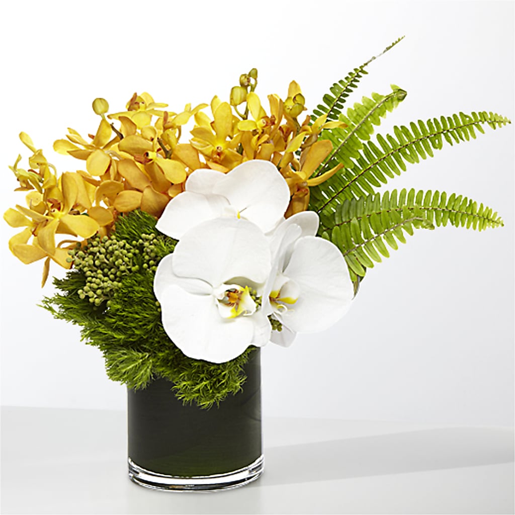 The Tropics –  Coach House Floral Inc, Canal Fulton OH