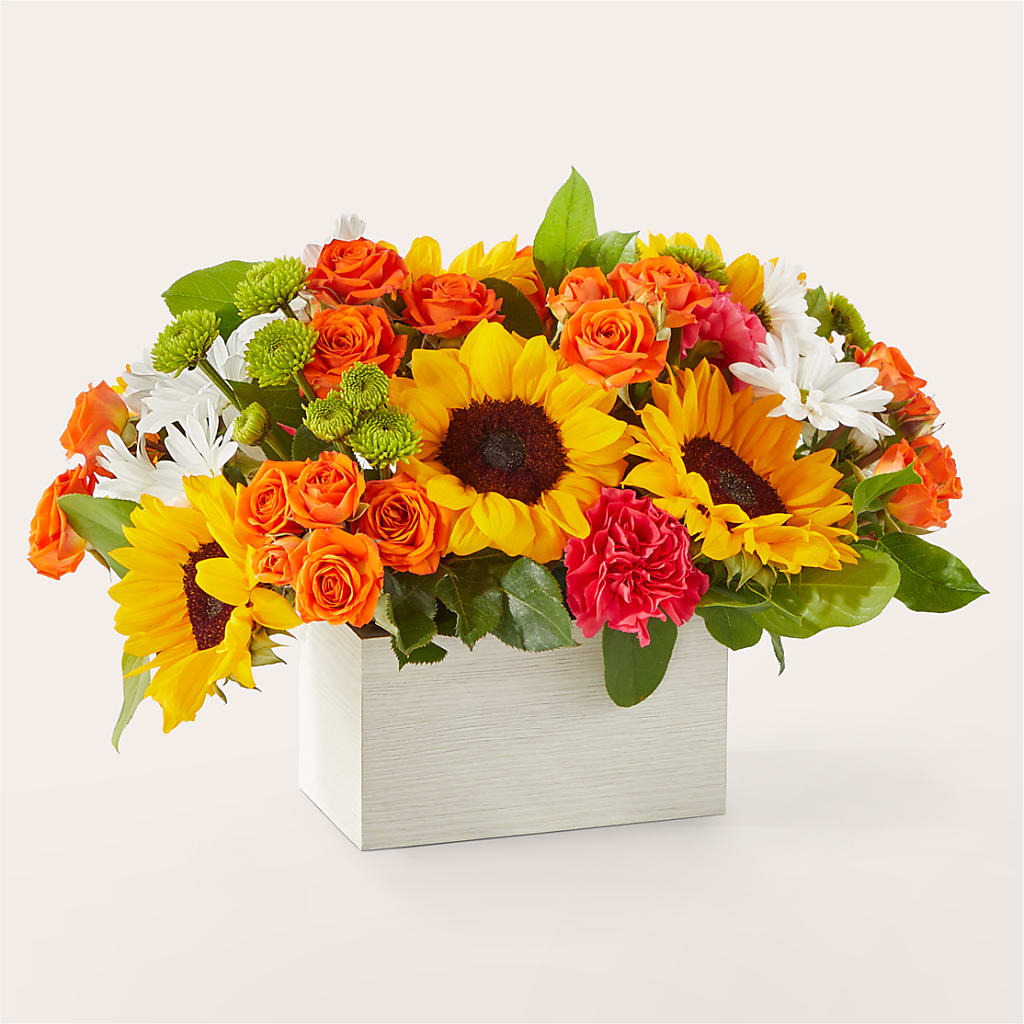 Sun-drenched Blooms Box Bouquet –  Coach House Floral Inc, Canal Fulton OH