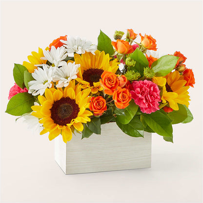 Sun-drenched Blooms Box Bouquet –  Coach House Floral Inc, Canal Fulton OH