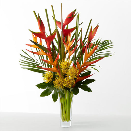 The Drama –  Coach House Floral Inc, Canal Fulton OH
